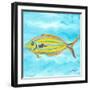 Fish Underwater I-Julie DeRice-Framed Premium Giclee Print