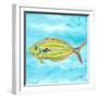 Fish Underwater I-Julie DeRice-Framed Premium Giclee Print