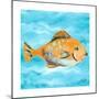 Fish Underwater II-Julie DeRice-Mounted Premium Giclee Print