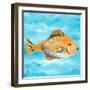 Fish Underwater II-Julie DeRice-Framed Art Print