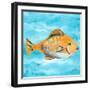 Fish Underwater II-Julie DeRice-Framed Art Print