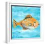 Fish Underwater II-Julie DeRice-Framed Art Print