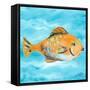 Fish Underwater II-Julie DeRice-Framed Stretched Canvas