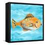 Fish Underwater II-Julie DeRice-Framed Stretched Canvas