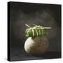 Fish Wrapped in a Leaf on a Stone-Pepe Nilsson-Stretched Canvas