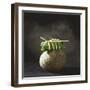 Fish Wrapped in a Leaf on a Stone-Pepe Nilsson-Framed Photographic Print