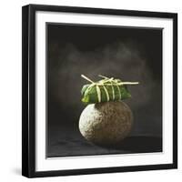 Fish Wrapped in a Leaf on a Stone-Pepe Nilsson-Framed Photographic Print