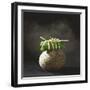 Fish Wrapped in a Leaf on a Stone-Pepe Nilsson-Framed Photographic Print