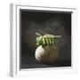 Fish Wrapped in a Leaf on a Stone-Pepe Nilsson-Framed Photographic Print