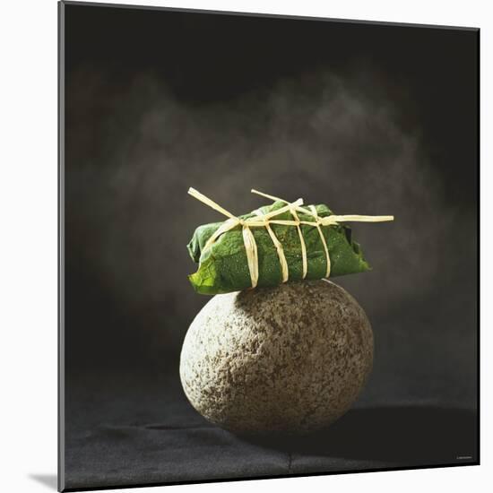 Fish Wrapped in a Leaf on a Stone-Pepe Nilsson-Mounted Photographic Print