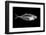 Fish X Ray-antpkr-Framed Photographic Print