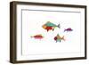 Fish-Beverly Johnston-Framed Giclee Print