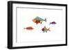 Fish-Beverly Johnston-Framed Giclee Print