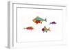 Fish-Beverly Johnston-Framed Giclee Print