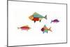 Fish-Beverly Johnston-Mounted Giclee Print