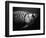 Fish-Henry Horenstein-Framed Photographic Print