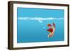 Fish-null-Framed Photographic Print