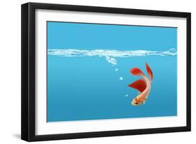 Fish-null-Framed Photographic Print