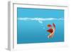 Fish-null-Framed Photographic Print