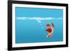 Fish-null-Framed Photographic Print