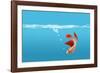 Fish-null-Framed Photographic Print