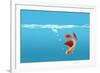 Fish-null-Framed Photographic Print