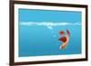 Fish-null-Framed Photographic Print