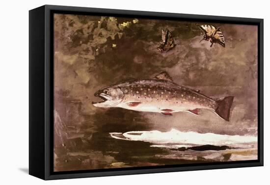 Fish-Winslow Homer-Framed Stretched Canvas