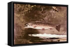 Fish-Winslow Homer-Framed Stretched Canvas