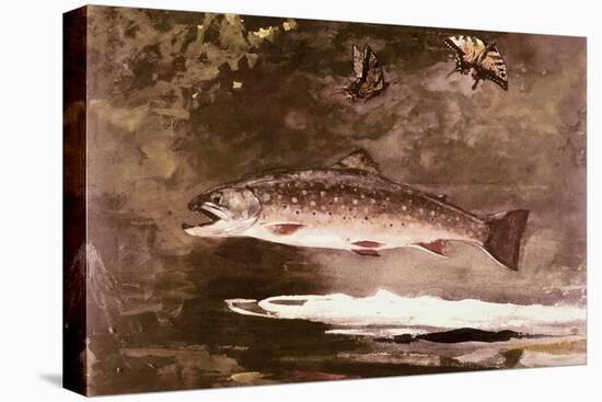 Fish-Winslow Homer-Stretched Canvas