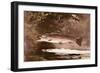 Fish-Winslow Homer-Framed Giclee Print