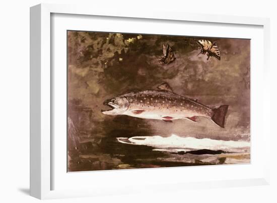 Fish-Winslow Homer-Framed Giclee Print