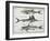 Fish-null-Framed Giclee Print