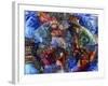 Fish-Oxana Zaika-Framed Giclee Print