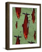 Fish-Anthony Freda-Framed Giclee Print