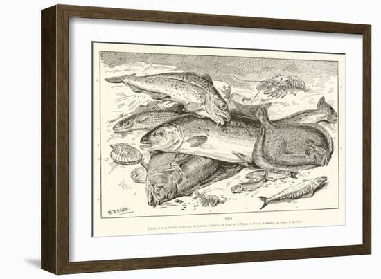 Fish-null-Framed Giclee Print