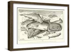 Fish-null-Framed Giclee Print