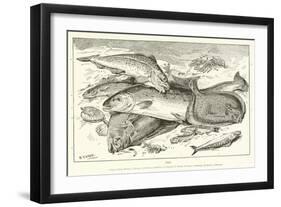 Fish-null-Framed Giclee Print