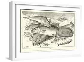 Fish-null-Framed Giclee Print