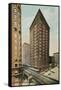 Fisher Building, Chicago, Illiniois-null-Framed Stretched Canvas