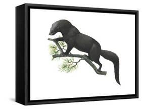 Fisher (Martes Pennanti), Mammals-Encyclopaedia Britannica-Framed Stretched Canvas