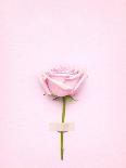 Creative Still Life of an Ice Cream Waffle Cone with Flowers on Grey Background-Fisher Photostudio-Photographic Print