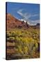 Fisher Towers, Utah in evening light-Darrell Gulin-Stretched Canvas
