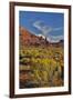 Fisher Towers, Utah in evening light-Darrell Gulin-Framed Premium Photographic Print