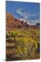 Fisher Towers, Utah in evening light-Darrell Gulin-Mounted Premium Photographic Print