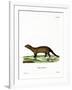 Fisher-null-Framed Giclee Print