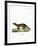 Fisher-null-Framed Giclee Print