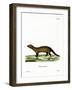 Fisher-null-Framed Giclee Print