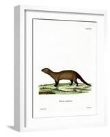 Fisher-null-Framed Giclee Print