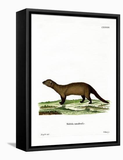 Fisher-null-Framed Stretched Canvas